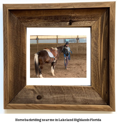 horseback riding near me in Lakeland Highlands, Florida